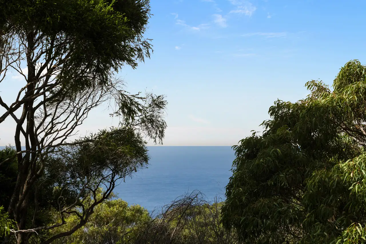 Main view of Homely house listing, 121 Plateau Road, Bilgola Plateau NSW 2107