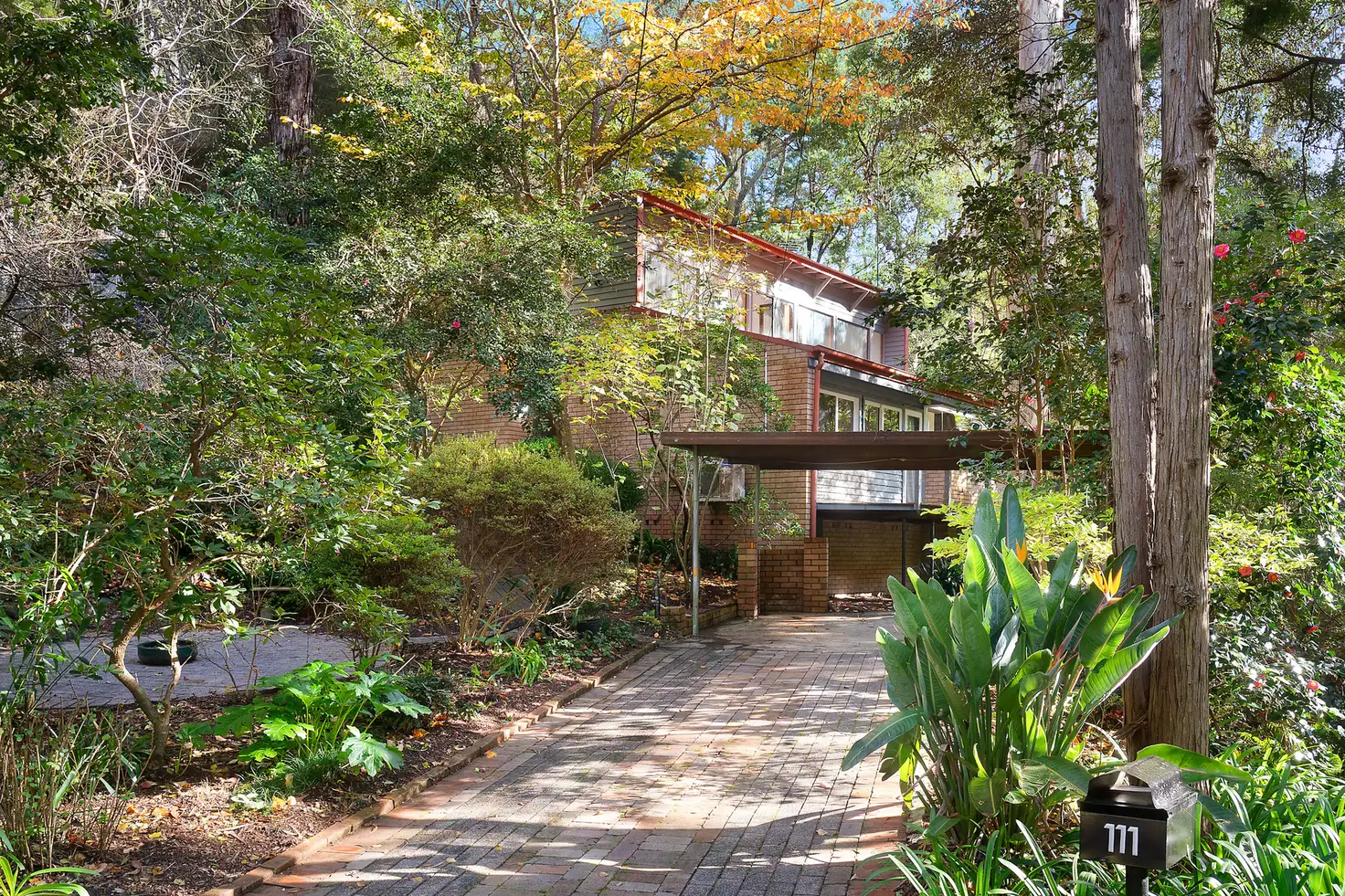 Main view of Homely house listing, 111 Wareemba Avenue, Thornleigh NSW 2120