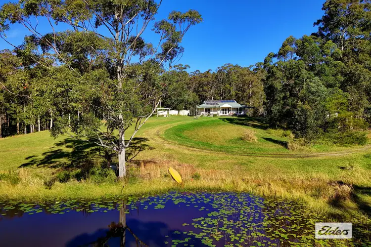 Fourth view of Homely house listing, 811 Newmans Road, Topi Topi NSW 2423