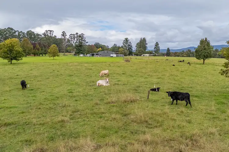 Seventh view of Homely land listing, 5 Jenkinson Place, Nana Glen NSW 2450