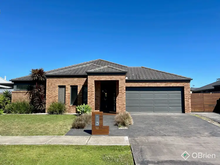 Main view of Homely house listing, 12 Birch Court, Eastwood VIC 3875
