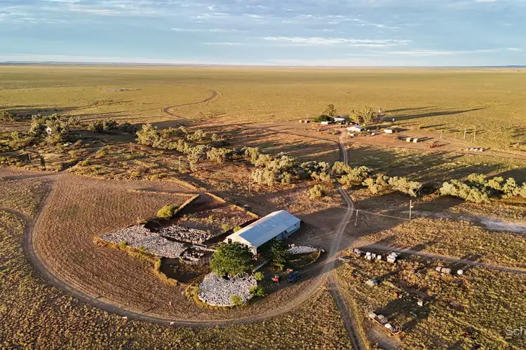 Main view of Homely rural property listing, 3428 Stanley Downs Road, Tangorin QLD 4821