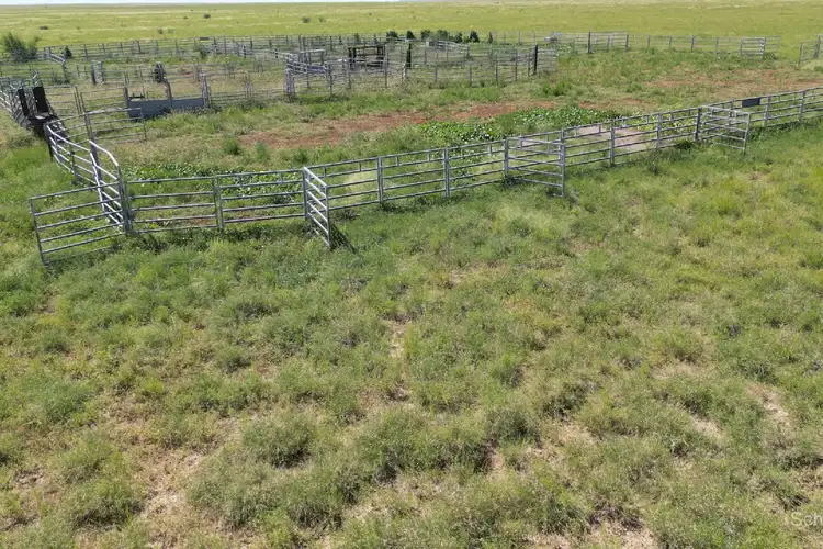 3428 Stanley Downs Road, Tangorin QLD 4821