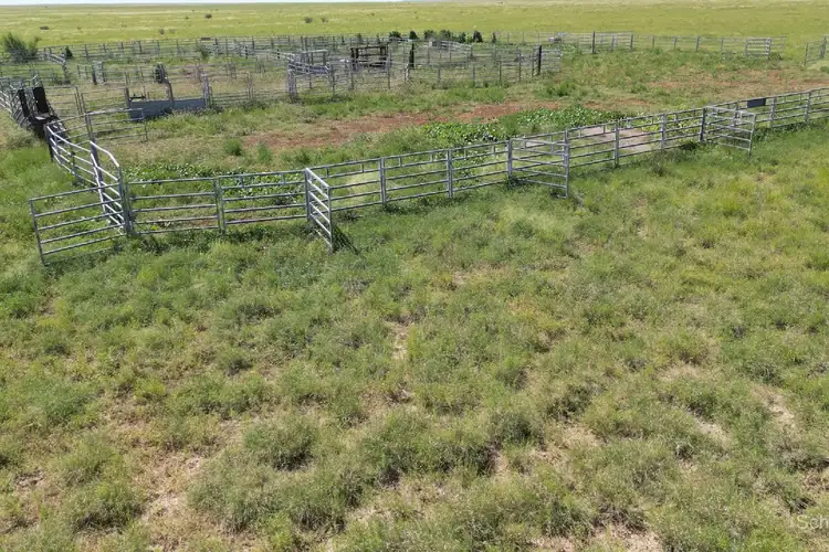 Second view of Homely rural property listing, 3428 Stanley Downs Road, Tangorin QLD 4821