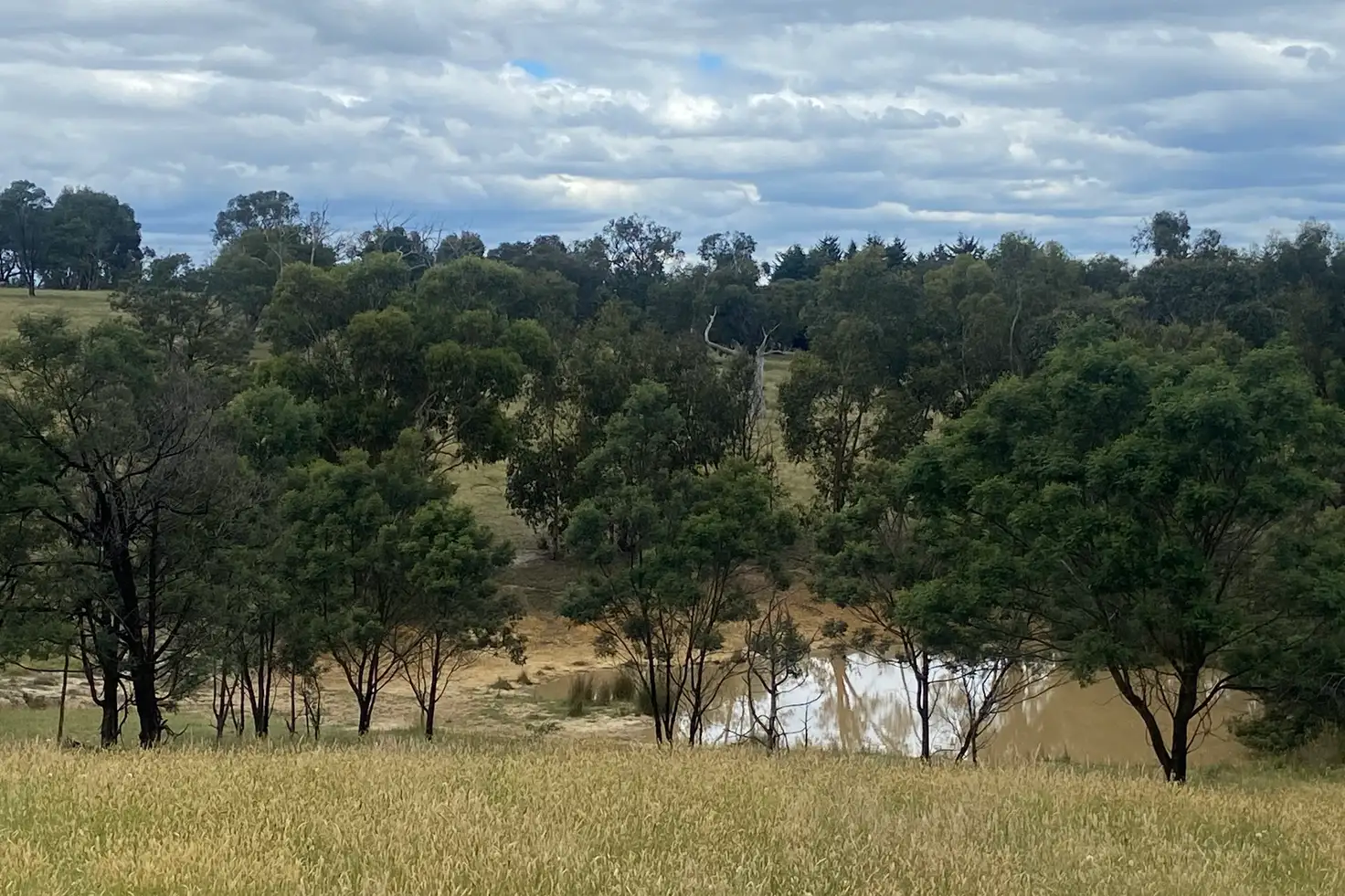 Main view of Homely rural property listing, 65 Braemore Place, Beveridge VIC 3753