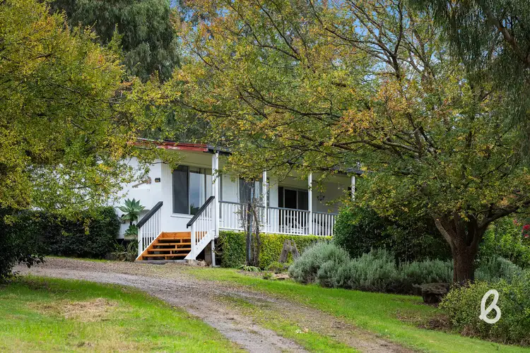 Main view of Homely rural property listing, 251 Goorangoola Creek Road, Singleton NSW 2330