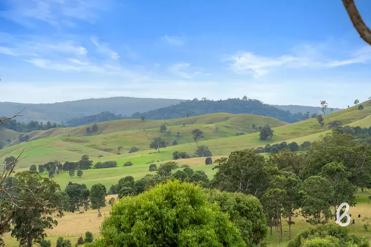 Second view of Homely rural property listing, 251 Goorangoola Creek Road, Singleton NSW 2330