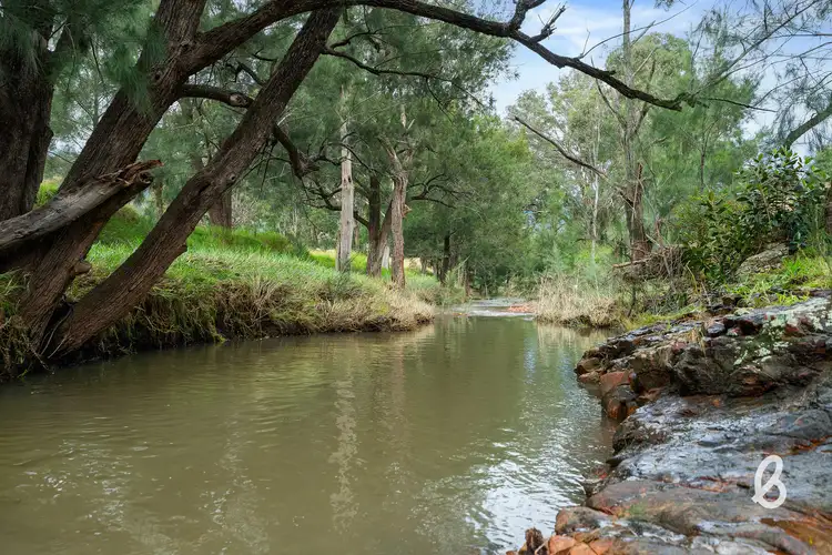 Fifth view of Homely rural property listing, 251 Goorangoola Creek Road, Singleton NSW 2330