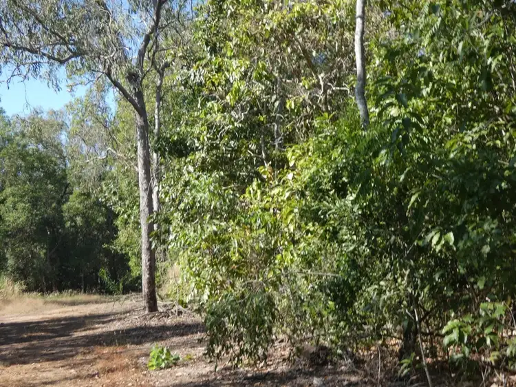 Fourth view of Homely house listing, 20 Myrmidon Circuit, Dundee Beach NT 840