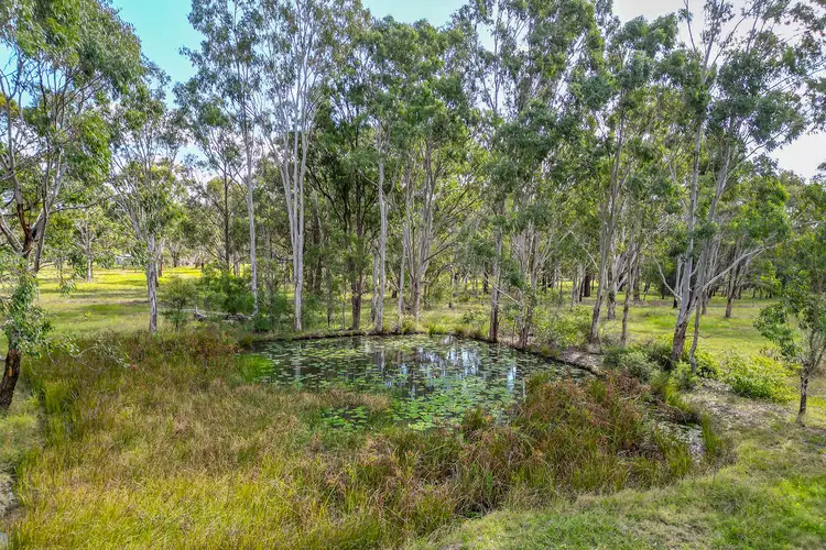 Seventh view of Homely rural property listing, 810 Italia Road, East Seaham NSW 2324