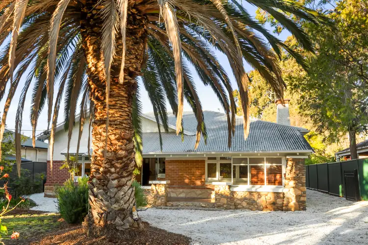 41 Sussex Terrace, Hawthorn SA 5062
