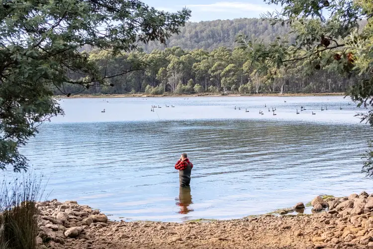Fourth view of Homely land listing, LOT 1 & 2, 172 Woodwards Bay Road, Bradys Lake TAS 7140