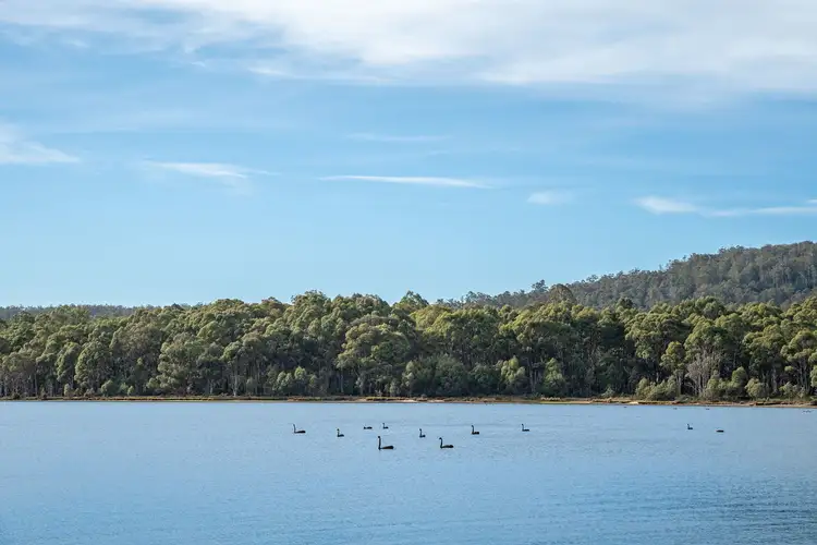 Fifth view of Homely land listing, LOT 1 & 2, 172 Woodwards Bay Road, Bradys Lake TAS 7140