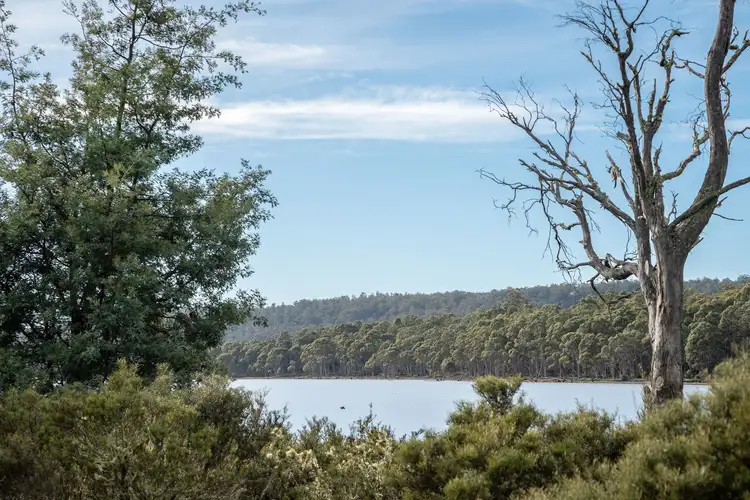 Sixth view of Homely land listing, LOT 1 & 2, 172 Woodwards Bay Road, Bradys Lake TAS 7140
