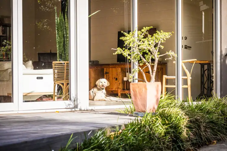 Second view of Homely house listing, 41 Berrambool Drive, Berrambool NSW 2548