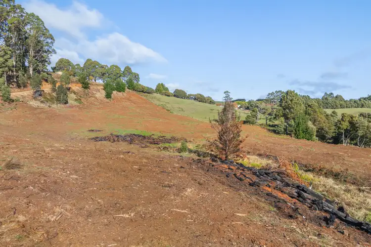 Fifth view of Homely rural property listing, Loonah Road, Natone TAS 7321