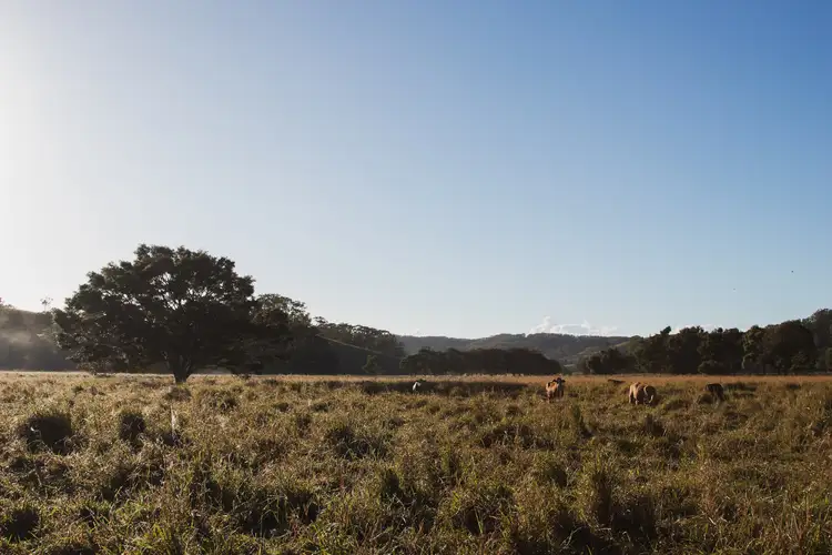 Third view of Homely rural property listing, 912 Round Mountain Road, Reserve Creek NSW 2484