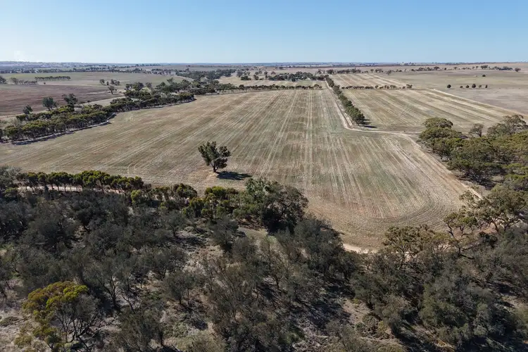 Seventh view of Homely rural property listing, 112 Caljie Road, Caljie WA 6302