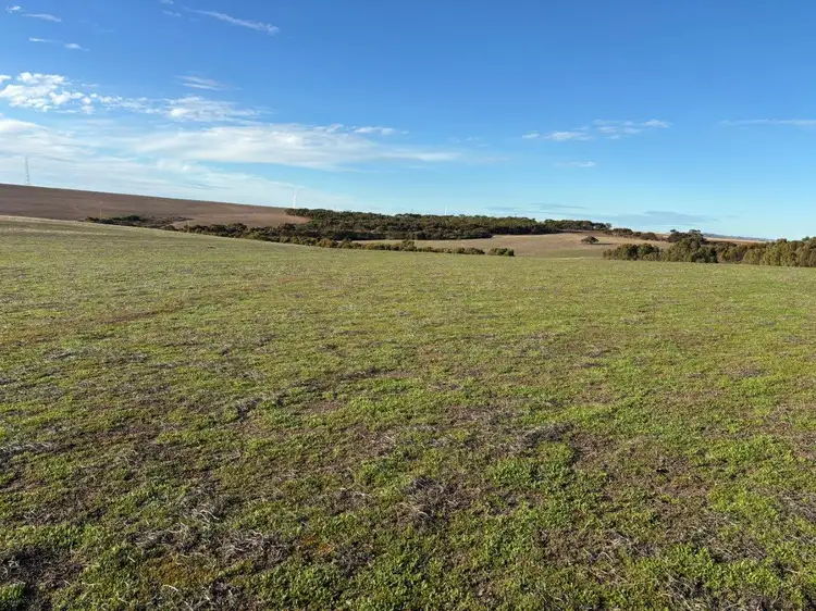 Fifth view of Homely rural property listing, Allot 21 Chapman Road, Green Patch SA 5607