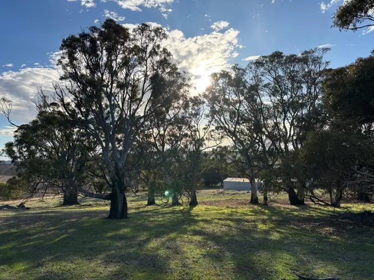 Sixth view of Homely rural property listing, Allot 21 Chapman Road, Green Patch SA 5607