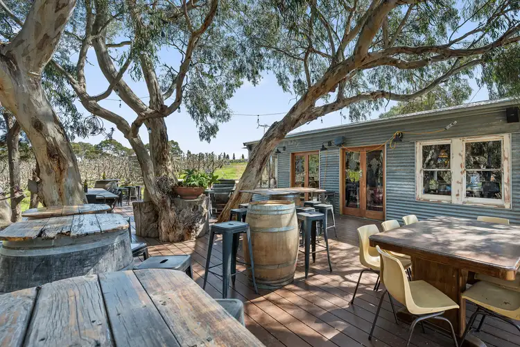 Third view of Homely rural property listing, 207 Sand Road, Mclaren Flat SA 5171