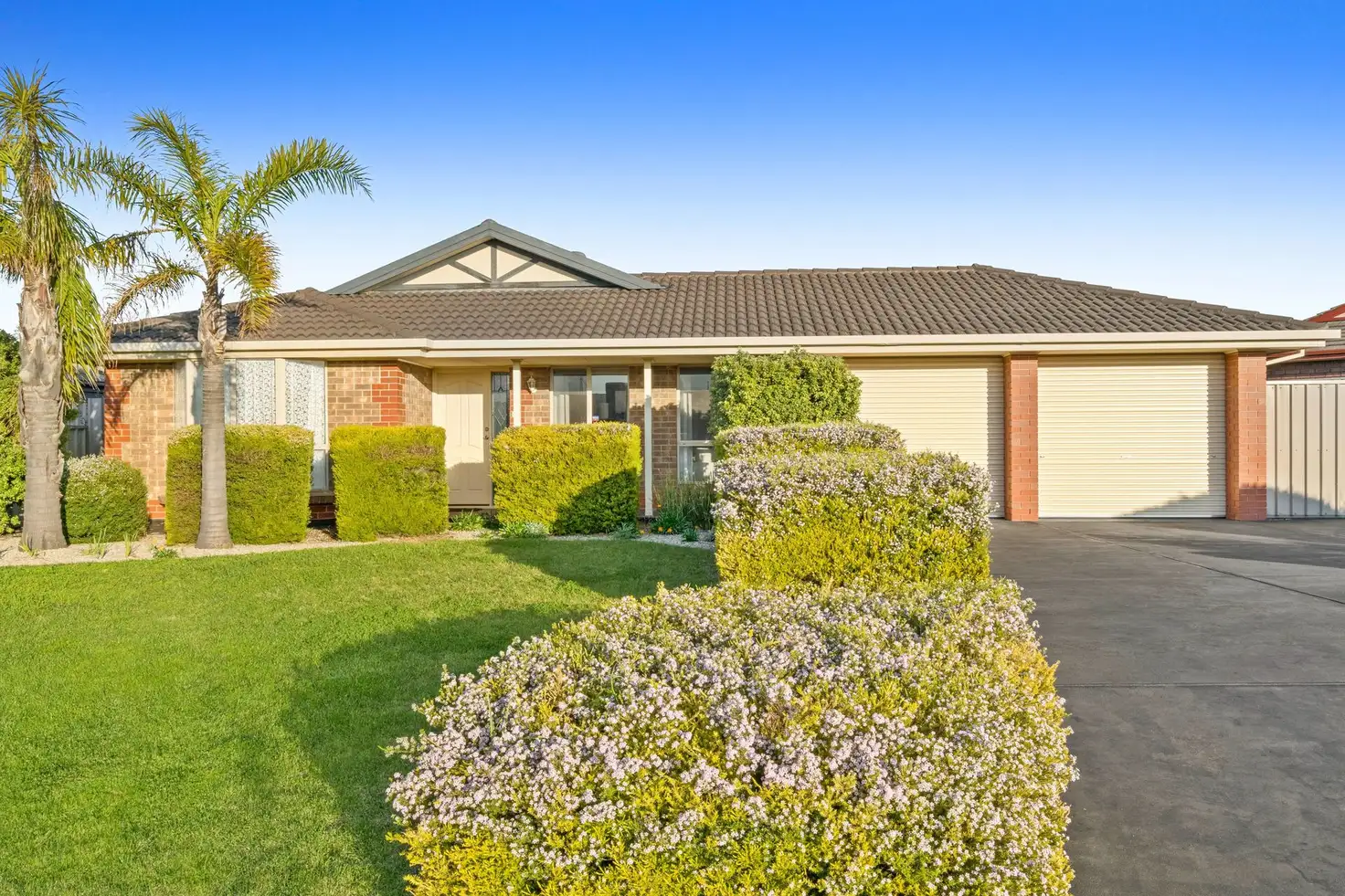 Main view of Homely house listing, 58 Marla Crescent, Noarlunga Downs SA 5168