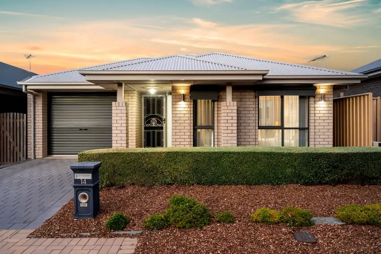 14 Seashell Street, Seaford Meadows SA 5169