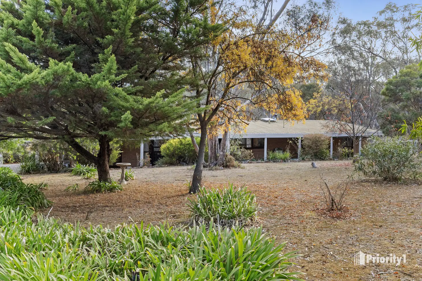 Main view of Homely house listing, 81 Forest Drive, Heathcote VIC 3523