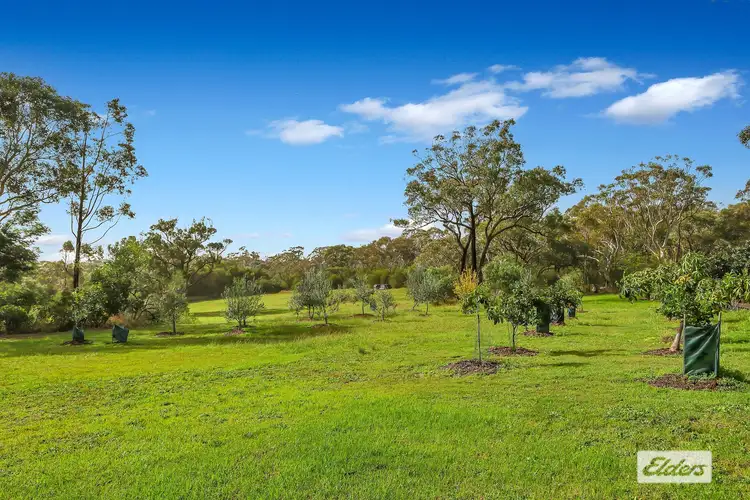 Sixth view of Homely rural property listing, 16 Forest Road, Kulnura NSW 2250