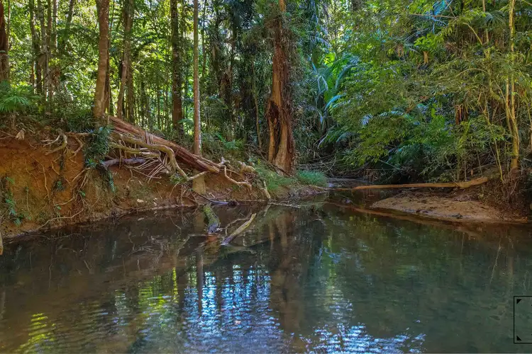 Main view of Homely land listing, 1 Saddle Mountain Road, Kuranda QLD 4881