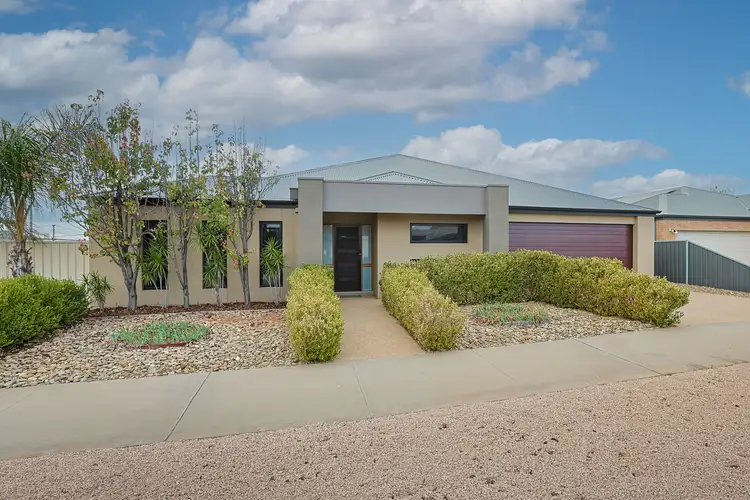 981 Fifteenth Street