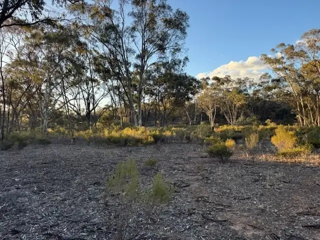Second view of Homely rural property listing, LOT CA, 24 Calder Highway, Wedderburn VIC 3518