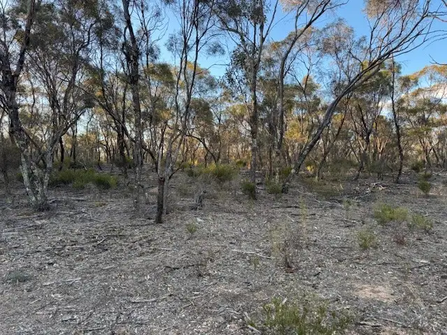Sixth view of Homely rural property listing, LOT CA, 24 Calder Highway, Wedderburn VIC 3518