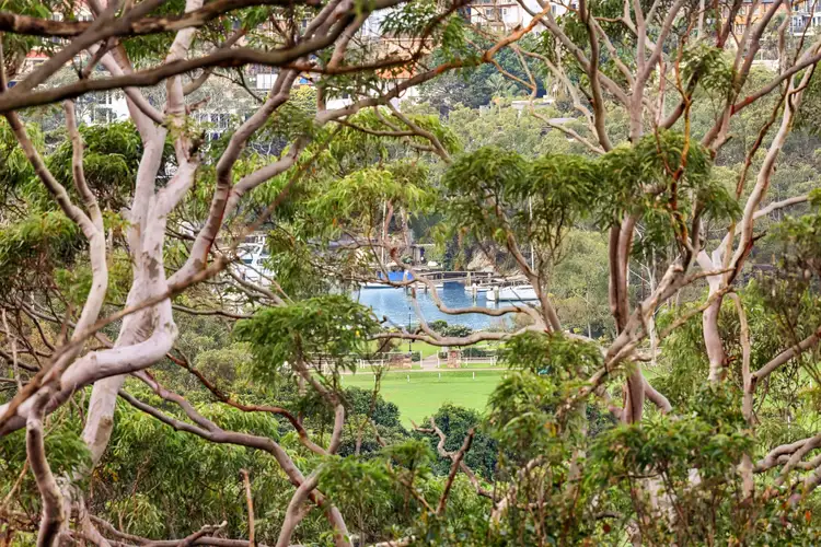 Fifth view of Homely house listing, 54 Cliff Avenue, Northbridge NSW 2063