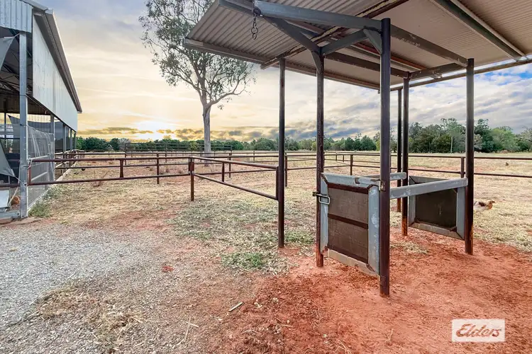 Seventh view of Homely rural property listing, 95 Ross Road, Katherine NT 850