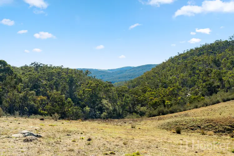 Second view of Homely rural property listing, 877 Urila Road, Urila NSW 2620