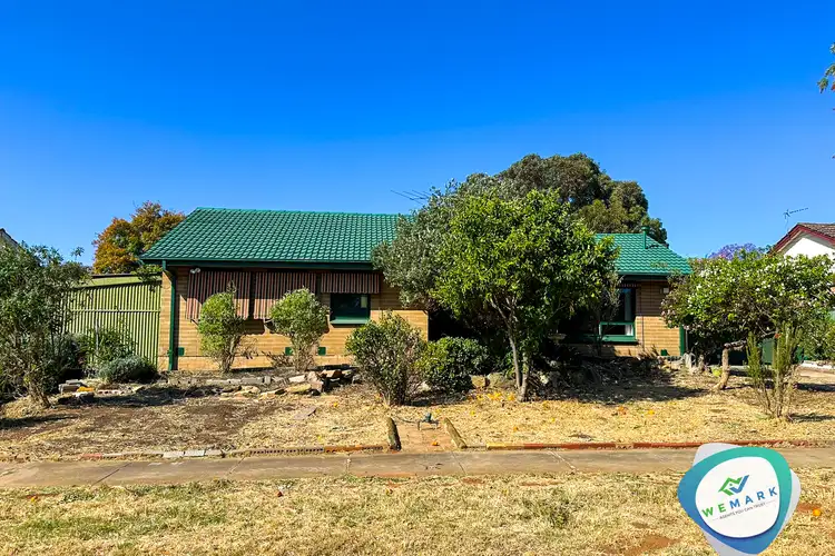 22 Baloo Street