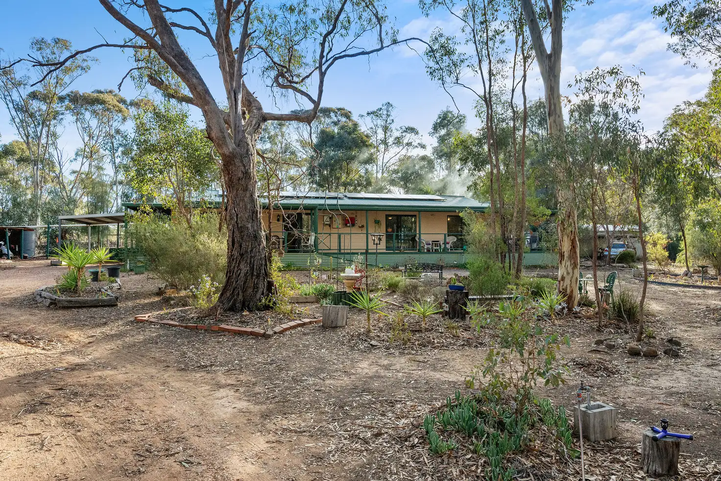 Main view of Homely house listing, 42 Dillion Court, Alma VIC 3465