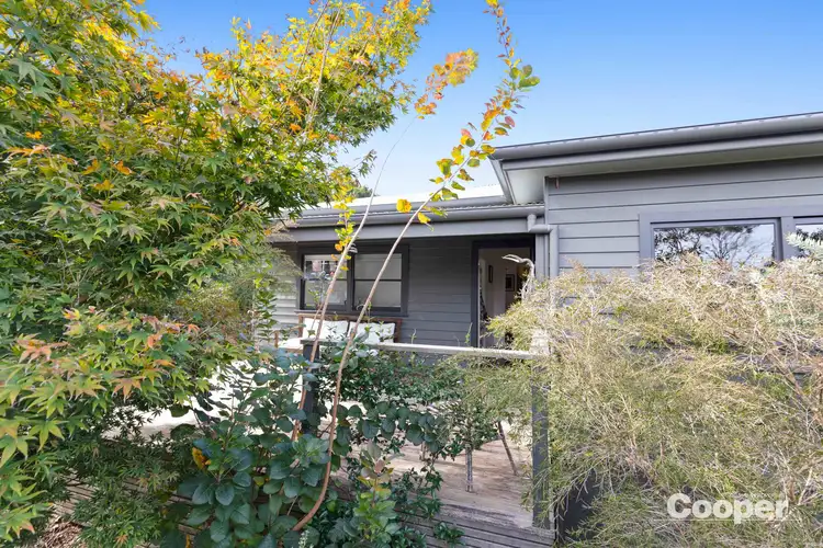 54 Church Street, Milton NSW 2538