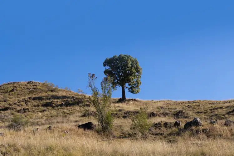 Fifth view of Homely rural property listing, 3 Killens Road, Bylong NSW 2849