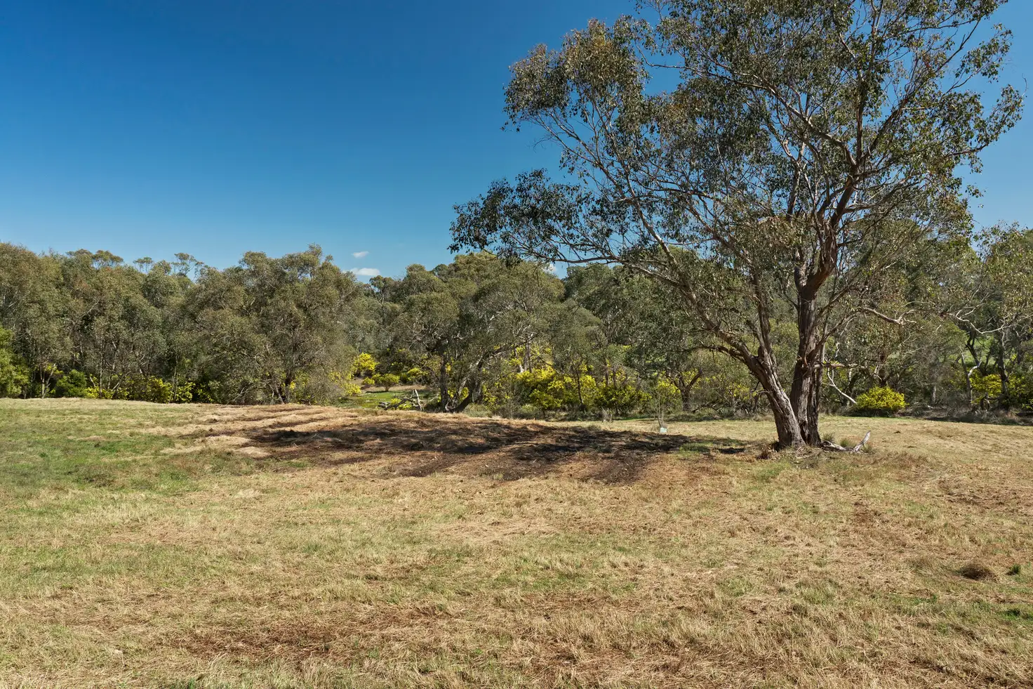 Main view of Homely land listing, CA1. Sec D Spring Creek Road, Strathbogie VIC 3666