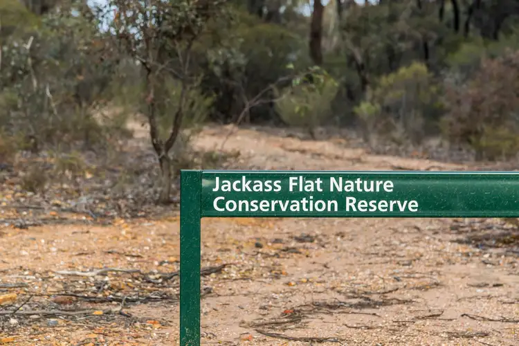 Seventh view of Homely land listing, LOT 1 Fleur Corner, Jackass Flat VIC 3556