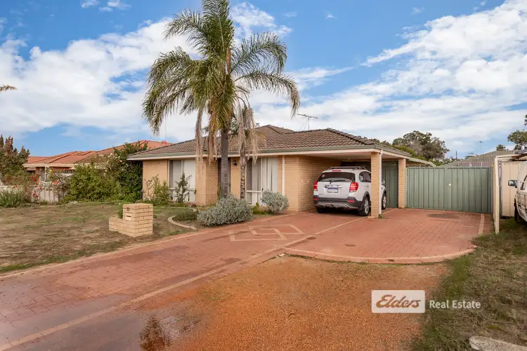 Main view of Homely house listing, 25 Celosia Way, Glen Iris WA 6230