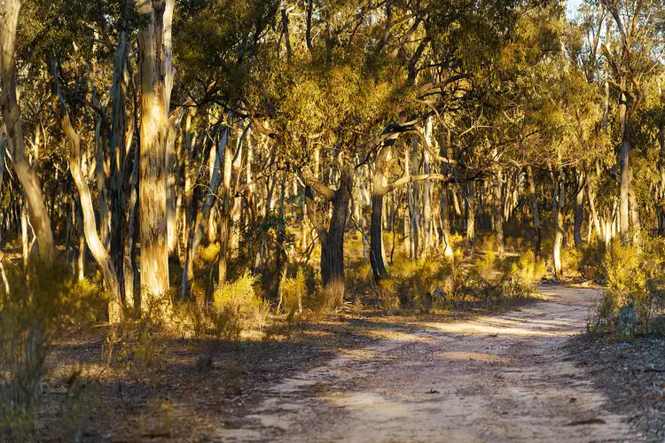 Seventh view of Homely land listing, 141 Sinclairs Lane, Walmer VIC 3463