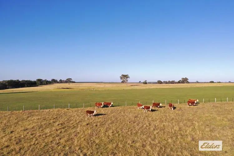 322 Stockdale - Fernbank Road, Stockdale VIC 3862