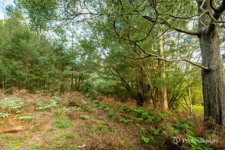 Fourth view of Homely land listing, 5 Douglas Avenue, Don Valley VIC 3139