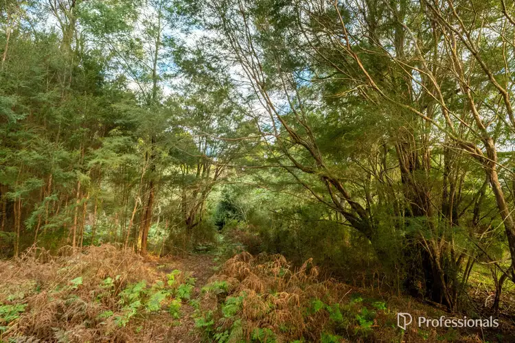 Fifth view of Homely land listing, 5 Douglas Avenue, Don Valley VIC 3139