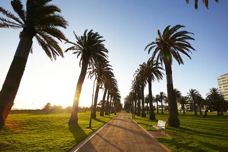 Second view of Homely unit listing, 4/14 Chapel Street, St Kilda VIC 3182