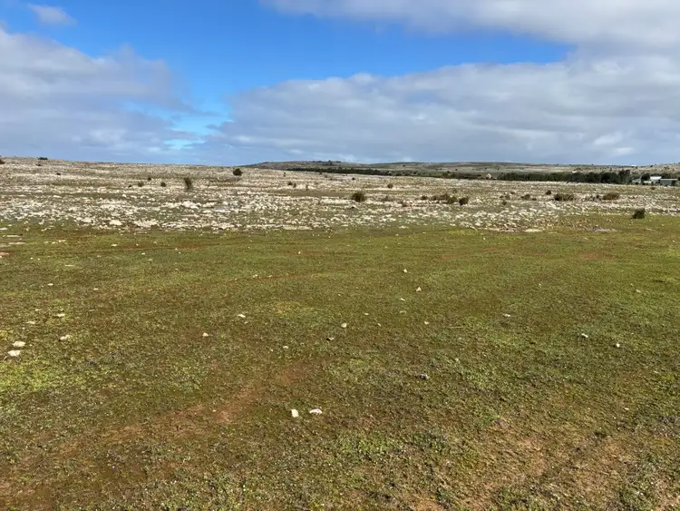 LOT 317 Nowhere Else Road, Sheringa SA 5607