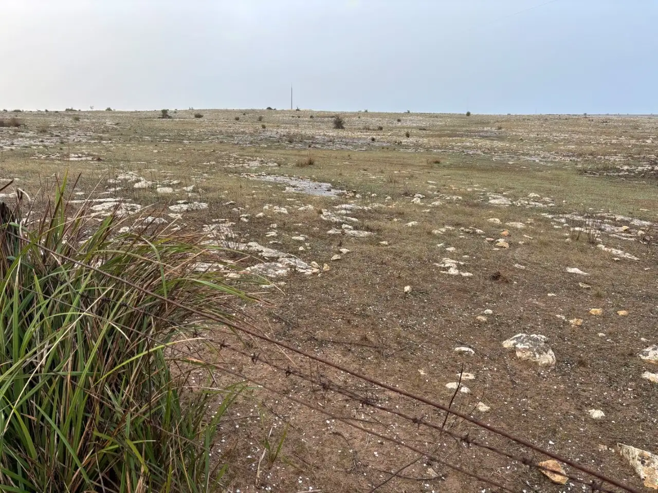 Main view of Homely rural property listing, LOT 317 Nowhere Else Road, Sheringa SA 5607